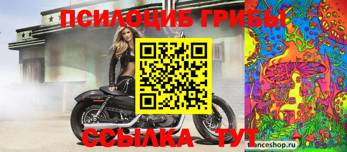 Псилоцибиновые грибы мухоморы Киров